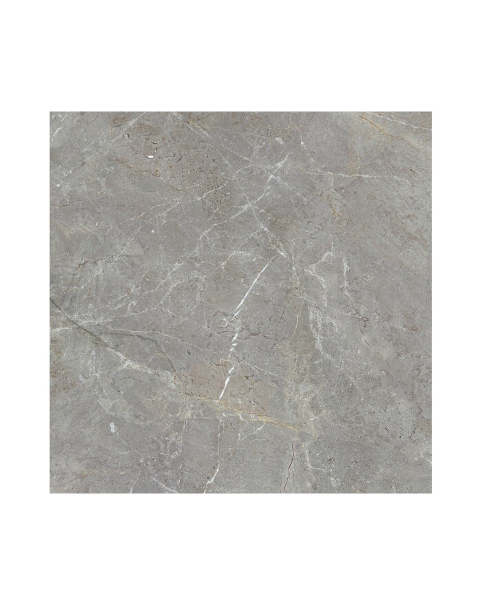 Suelo Porcelánico Augustus 120x120 APE