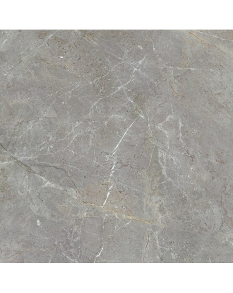 Suelo Porcelánico Augustus 120x120 APE