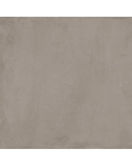 Appeal Taupe 30X60