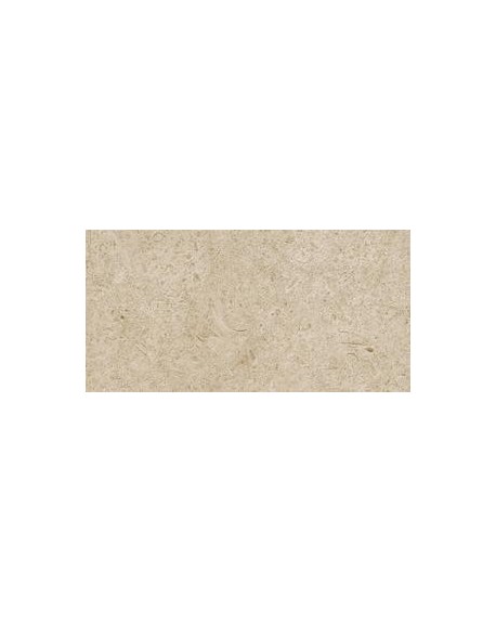 Caracter Greige 30X60