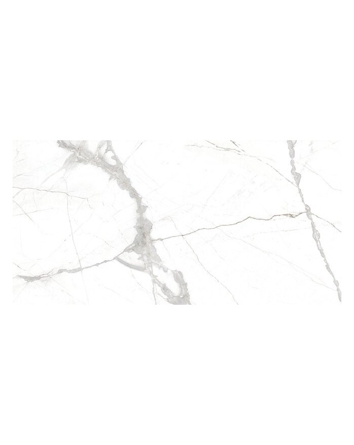 Glacier White Natural 60x120