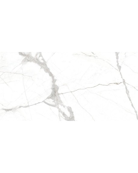 Glacier White Natural 60x120
