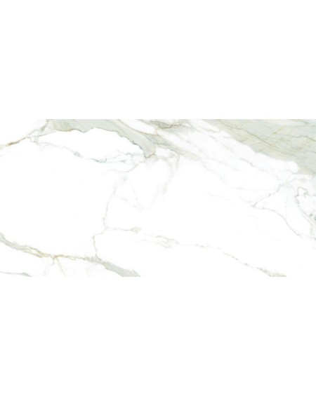 Praliné Gold Natural 60x120
