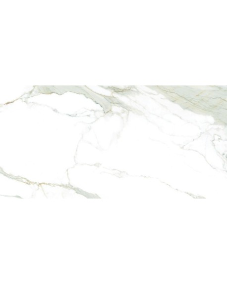Praliné Gold Natural 60x120
