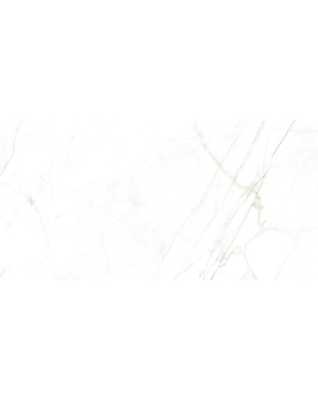 Dual White Natural 60x120