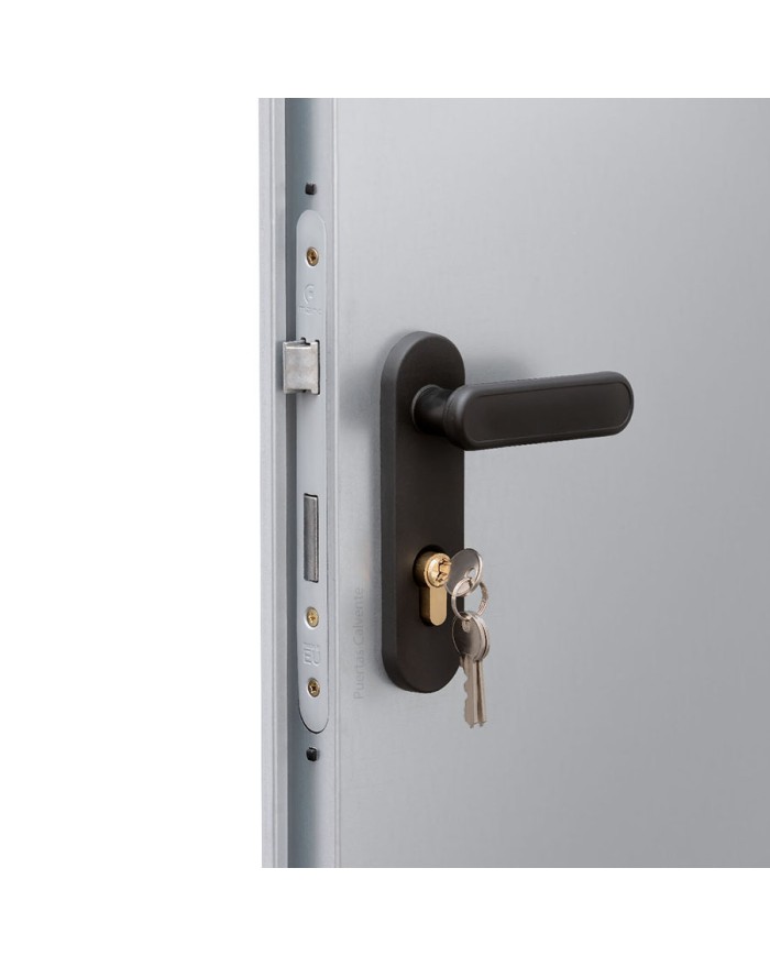 Puerta Galvanizada 80x200 Derecha