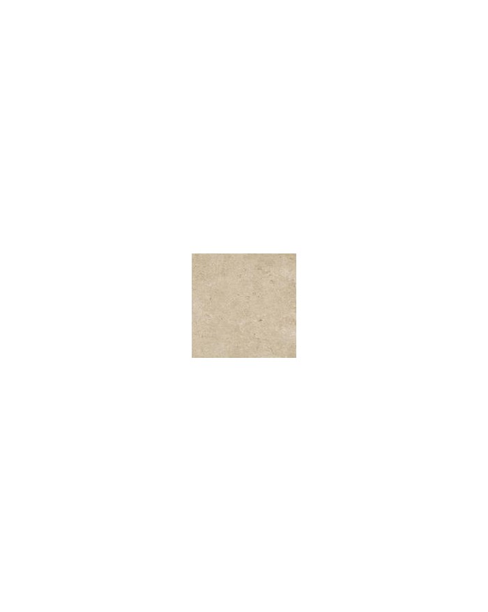 Suelo porcelánico Caracter 60X60
